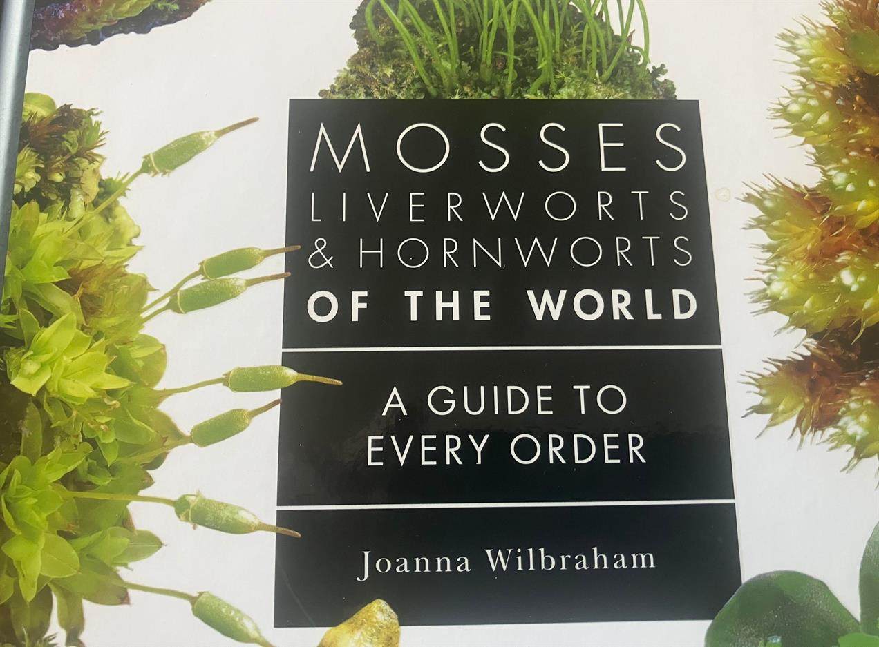 moss